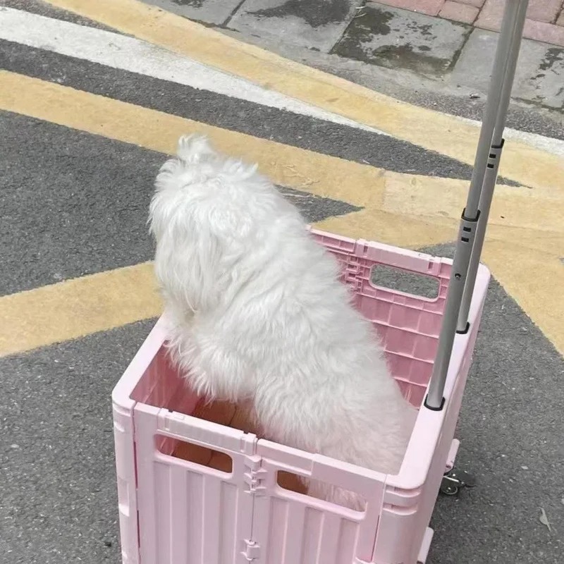Folding Convenient Supermarket - đánh giá và giá Outdoor Camping Trolley