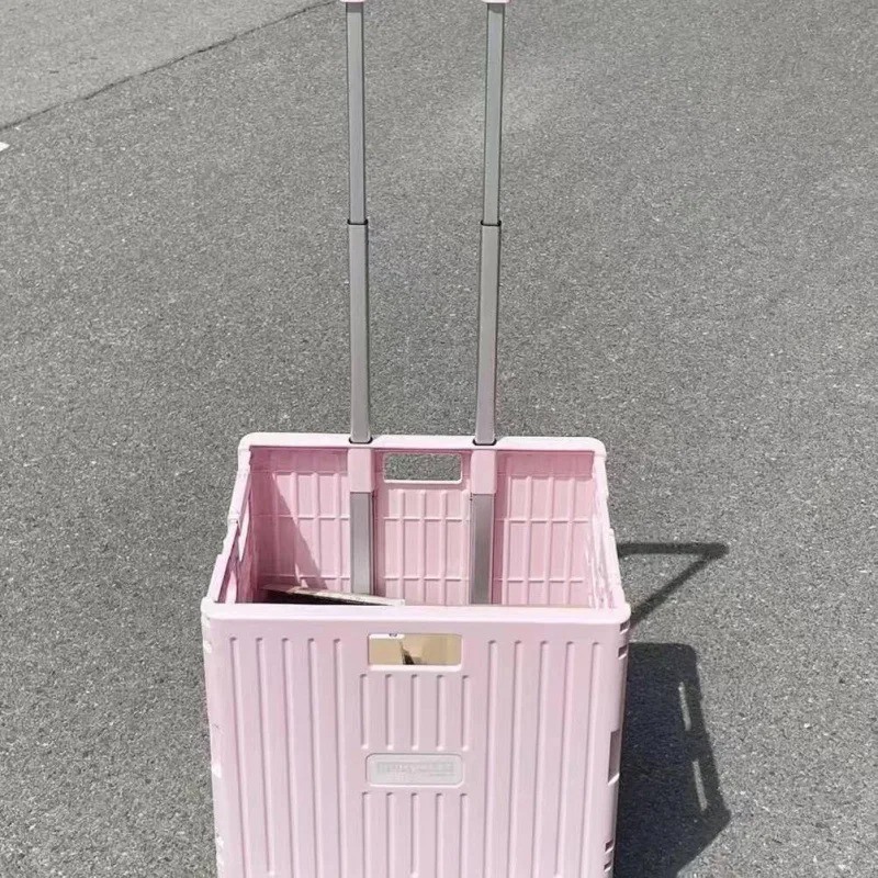 Folding Convenient Supermarket - đánh giá và giá Outdoor Camping Trolley