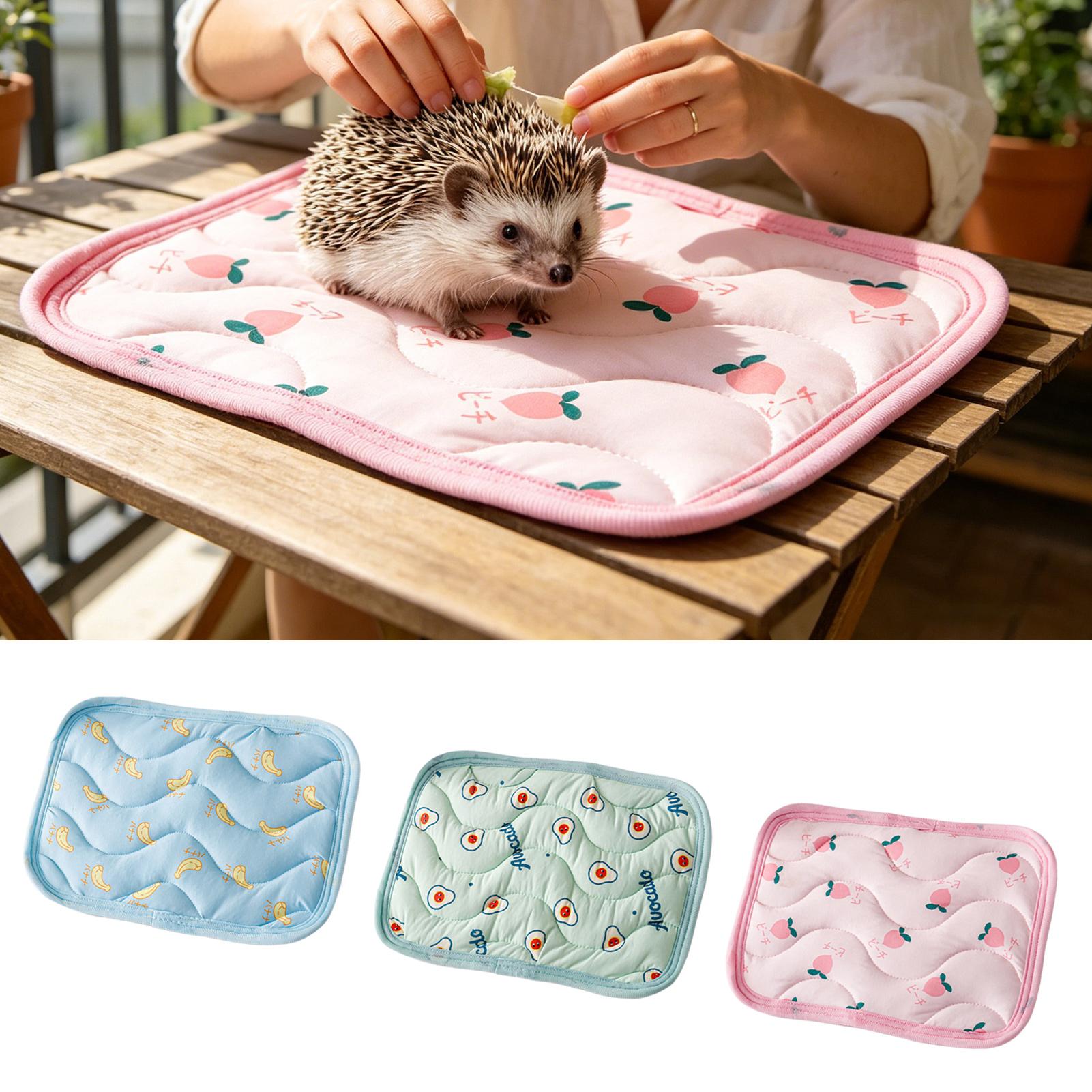 Pet Cooling Mat Washable Small - đánh giá và giá Outdoor Camping Dog Bed
