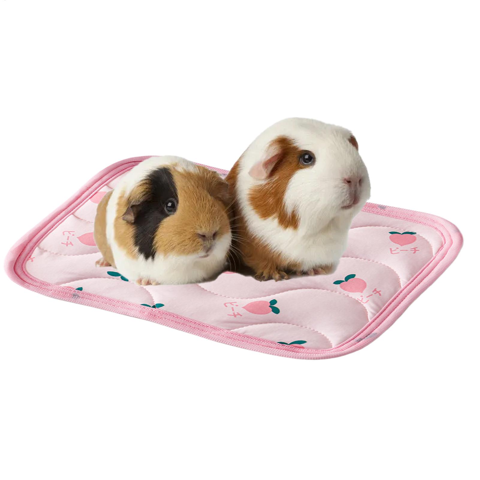 Pet Cooling Mat Washable Small - đánh giá và giá Outdoor Camping Dog Bed