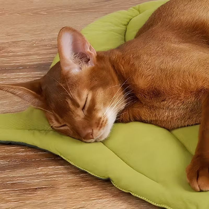 Reversible Soft Leaf Pet Cushi - đánh giá và giá Outdoor Camping Dog Bed
