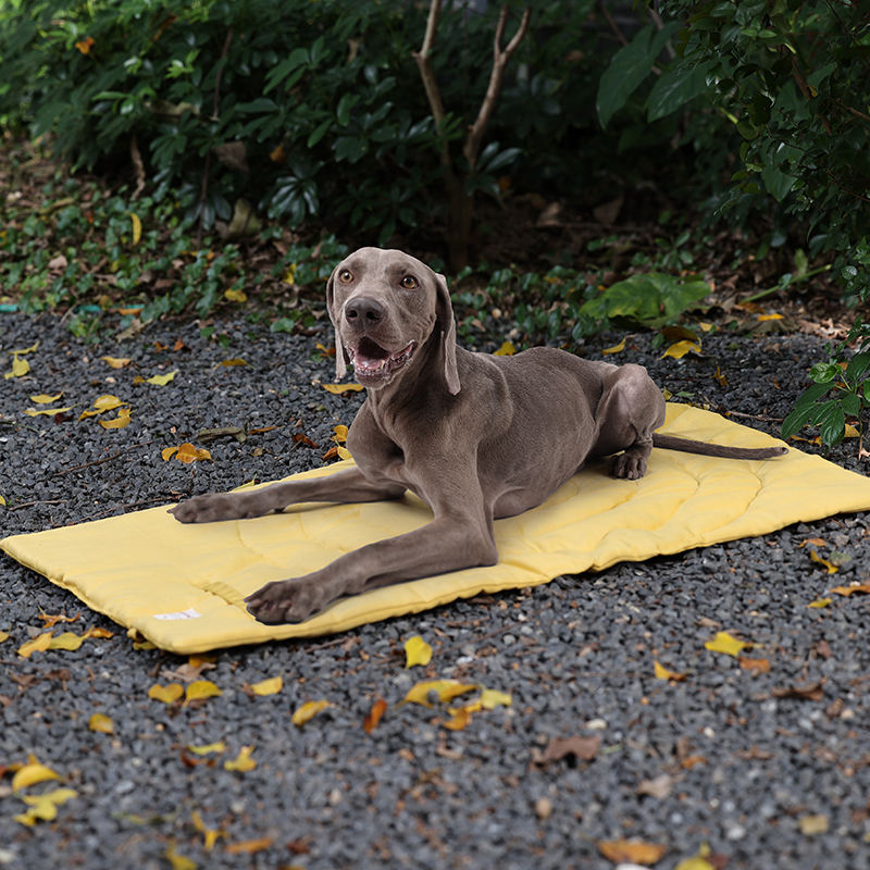 Portable Pet Mat Foldable Pet  - đánh giá và giá Outdoor Camping Dog Bed