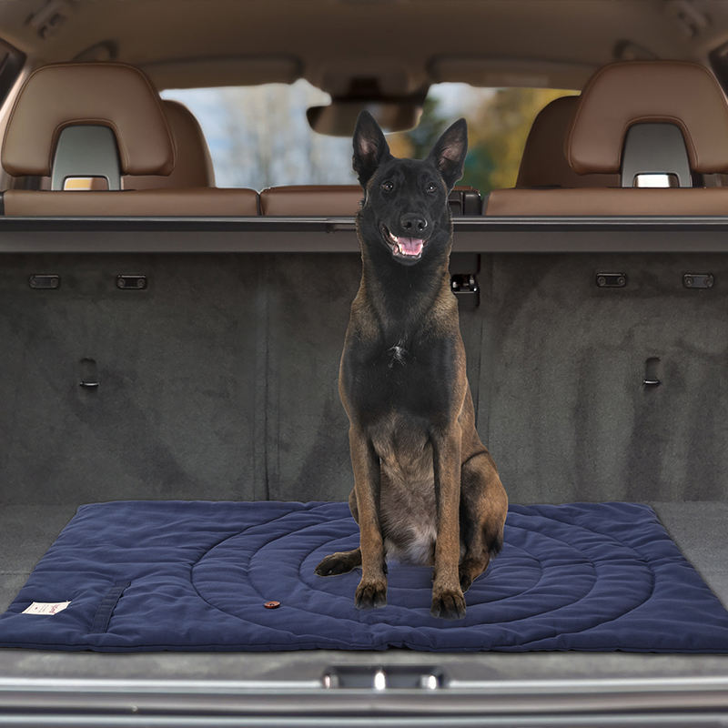 Portable Pet Mat Foldable Pet  - đánh giá và giá Outdoor Camping Dog Bed