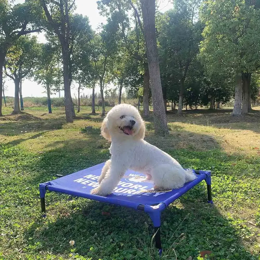 FULED Portable Outdoor Elevate - đánh giá và giá Outdoor Camping Dog Bed