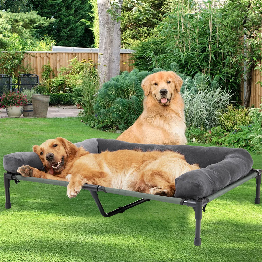 BINGOPAW Outdoor Dog Bed Eleva - đánh giá và giá Outdoor Camping Dog Bed