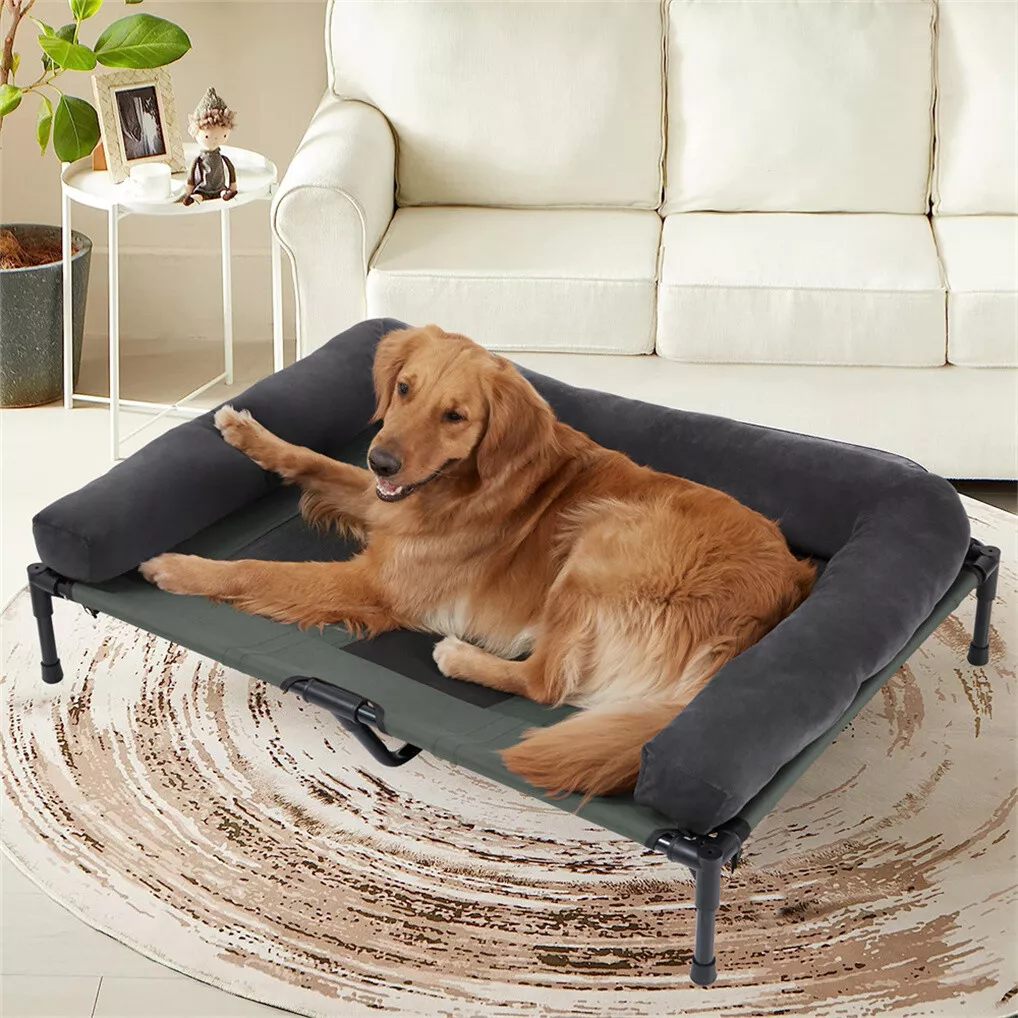 BINGOPAW Outdoor Dog Bed Eleva - đánh giá và giá Outdoor Camping Dog Bed