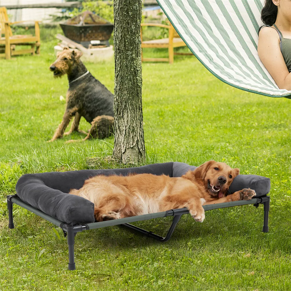 BINGOPAW Outdoor Dog Bed Eleva - đánh giá và giá Outdoor Camping Dog Bed