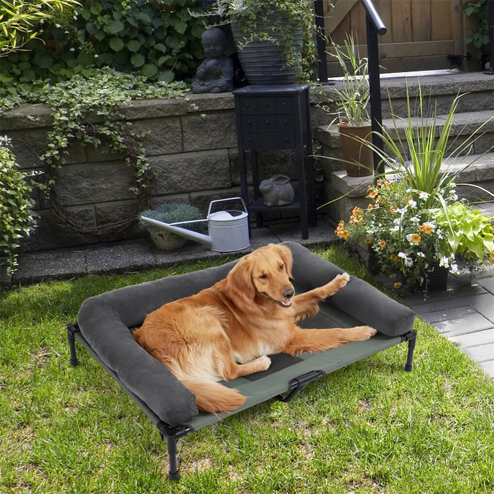 BINGOPAW Outdoor Dog Bed Eleva - đánh giá và giá Outdoor Camping Dog Bed