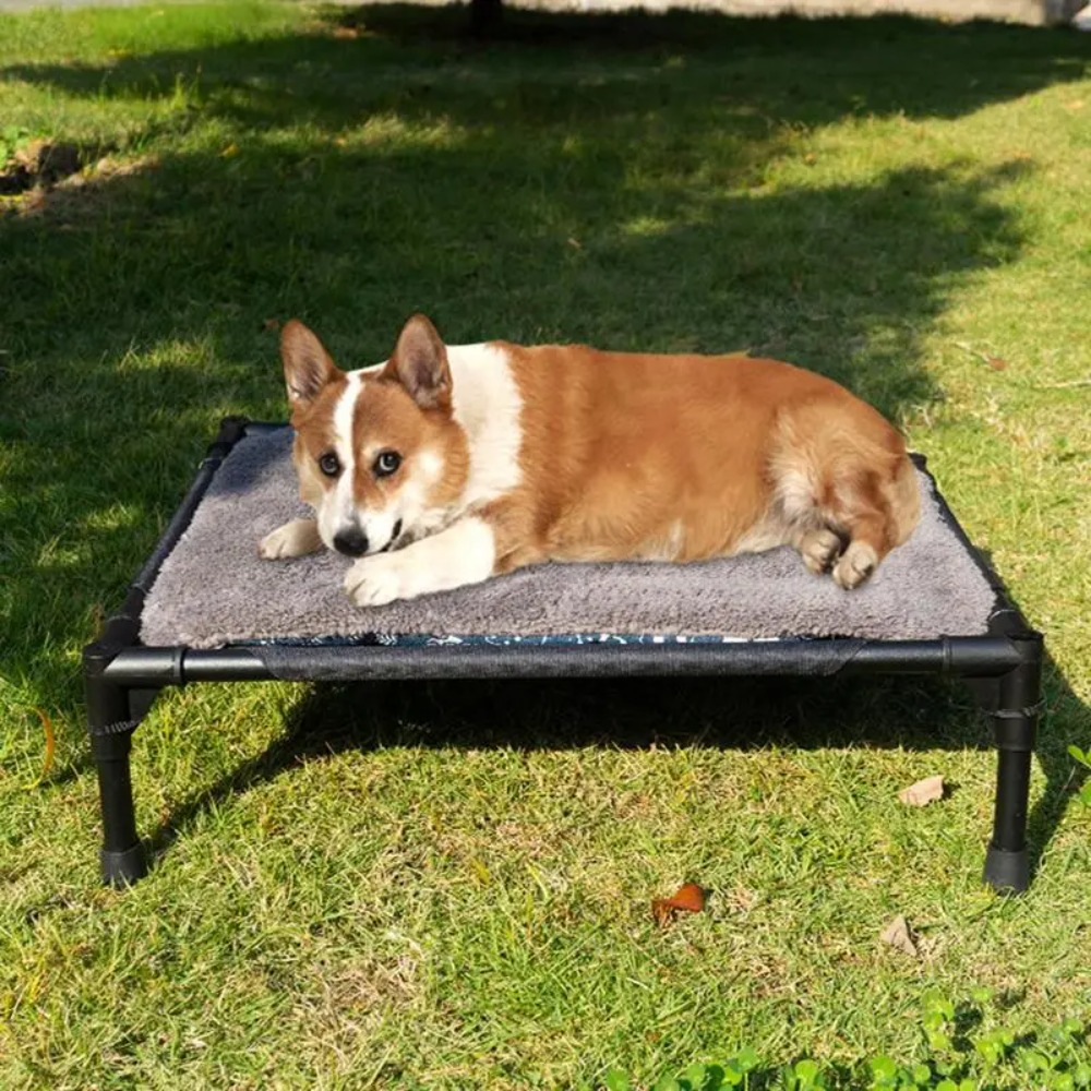 Outdoor Elevated Dog Bed, Fold - đánh giá và giá Outdoor Camping Dog Bed