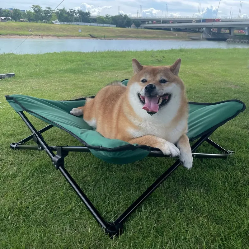 for Luxurious Modern Portable  - đánh giá và giá Outdoor Camping Dog Bed